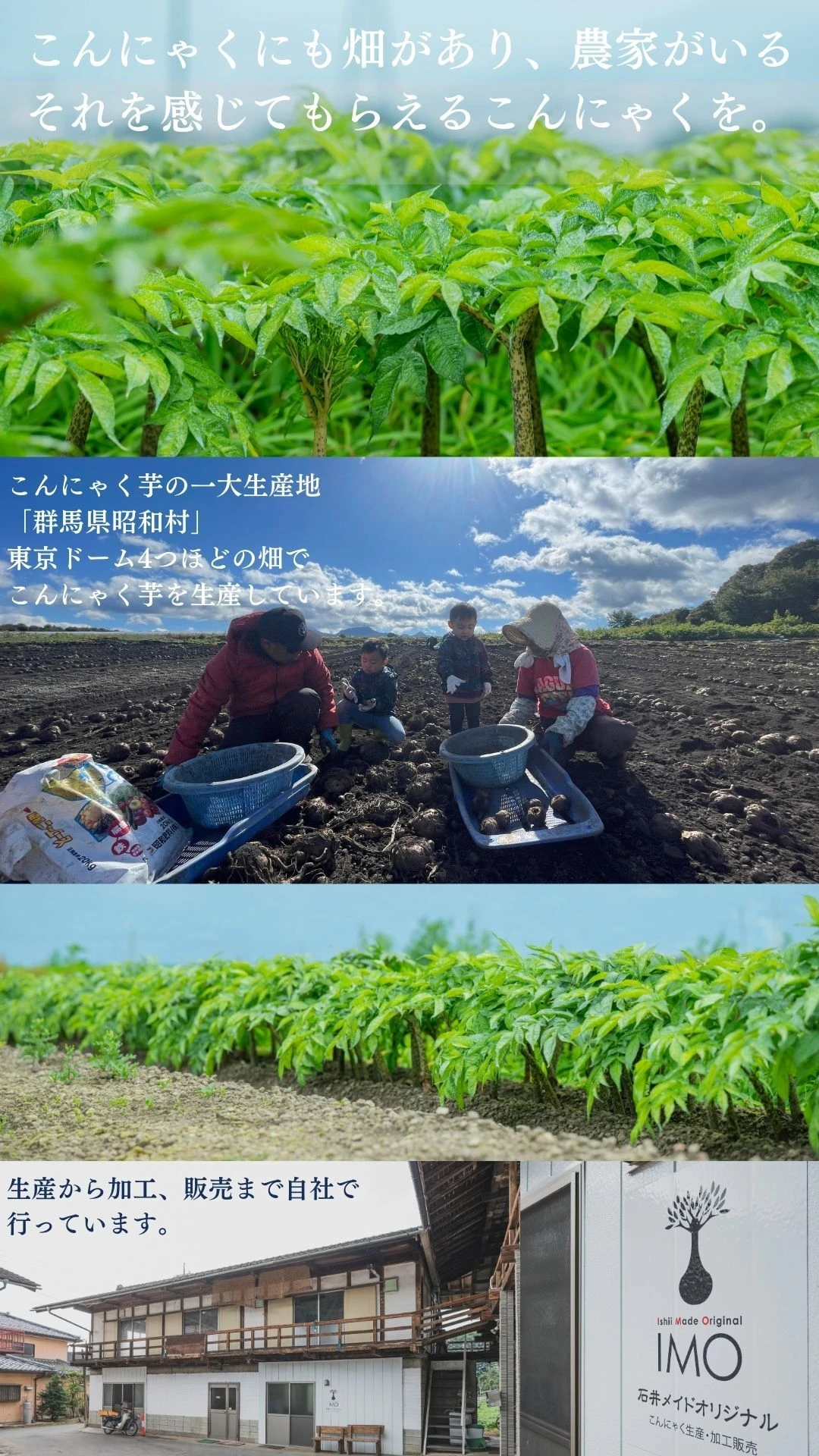 ダウンロード