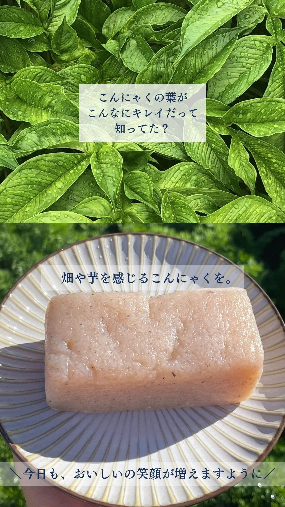 ダウンロード
